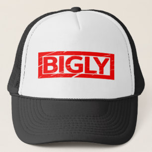 Gorra De Camionero Sello bifásico