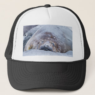 Gorra De Camionero Sello elefante