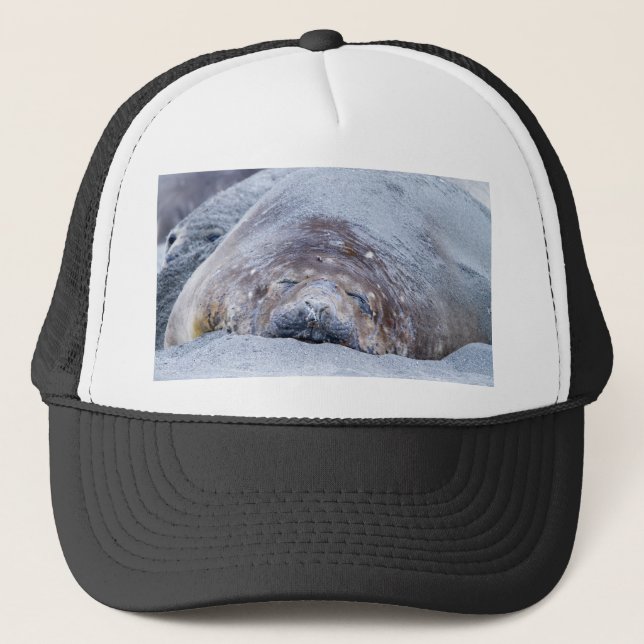 Gorra De Camionero Sello elefante (Anverso)