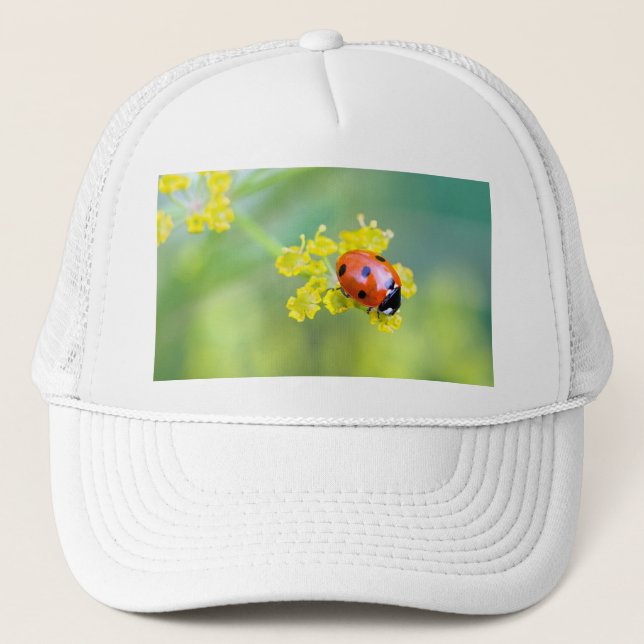 Gorra De Camionero señora de arriba (Anverso)