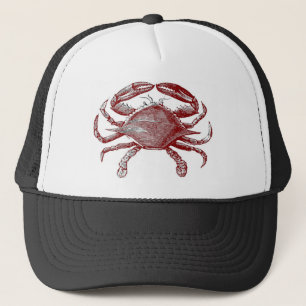 Gorra De Camionero Sensación de Crabby Red Pencil Ocean Crab Art