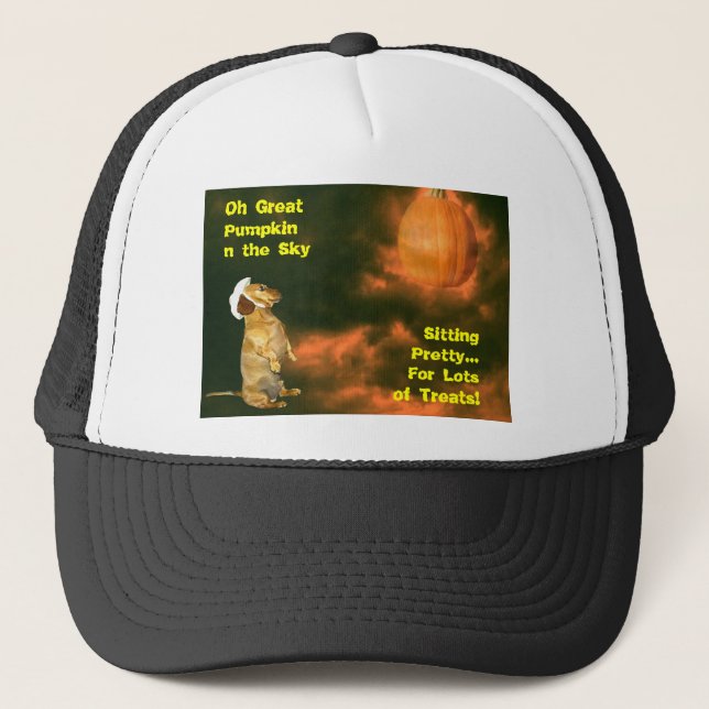 Gorra De Camionero Sentado Bonito para muchos tratamientos (Anverso)