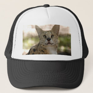 Gorra De Camionero serval 017