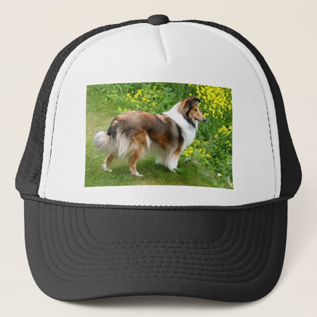 Gorra De Camionero Sheltie Shetland Sheepdog Pinting (Anverso)