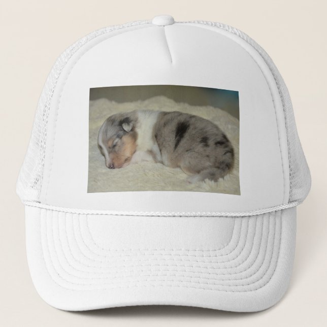 Gorra De Camionero shp azul merle blanco tan cachorro (Anverso)