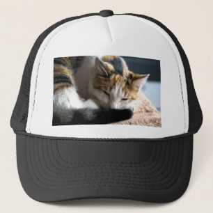 Gorra De Camionero Sleeping Calico