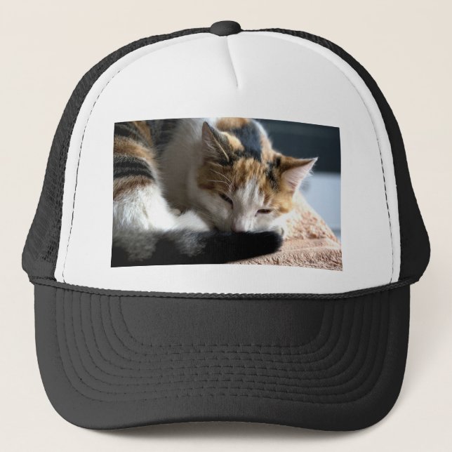 Gorra De Camionero Sleeping Calico (Anverso)
