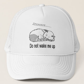 Gorra De Camionero sleeping cat 2