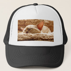 Gorra De Camionero Sleepy Cat