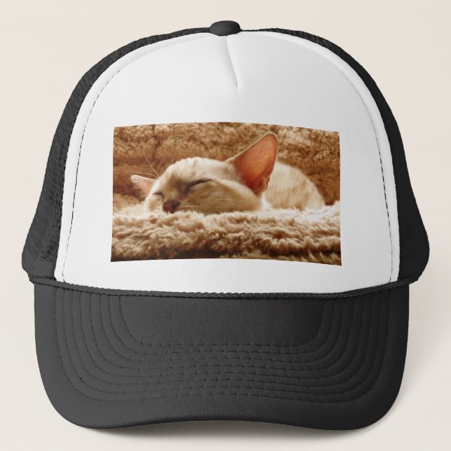 Gorra De Camionero Sleepy Cat (Anverso)