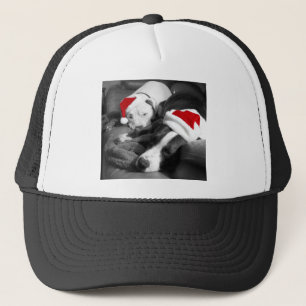 Gorra De Camionero sleepy christmas pitbull puppies adorable santa