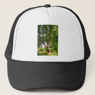 Gorra De Camionero Smååland