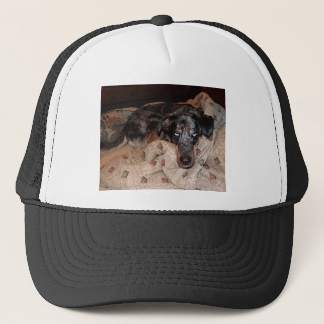 Gorra De Camionero Snoozing Leopard Dog Catahoula (Anverso)