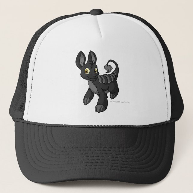 Gorra De Camionero Sombra de Bori (Anverso)