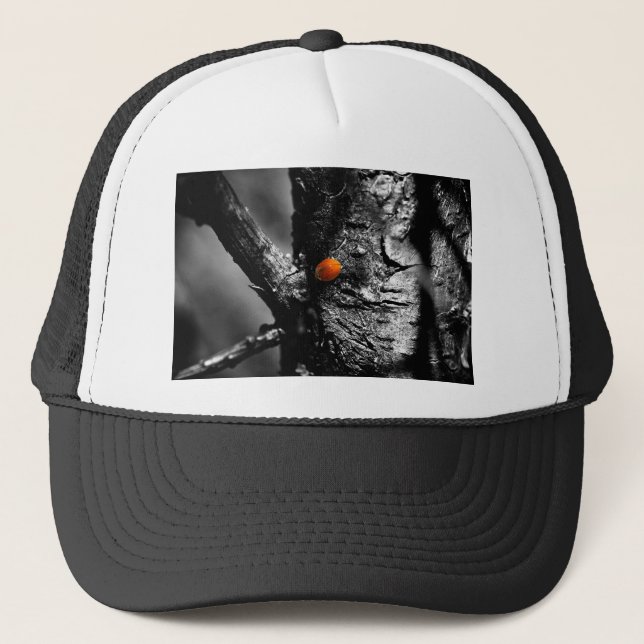 Gorra De Camionero sonrisa para una mariquita (Anverso)