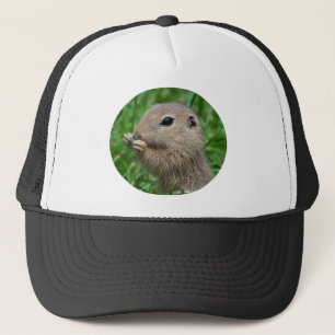 Gorra De Camionero Spermophilus citellus