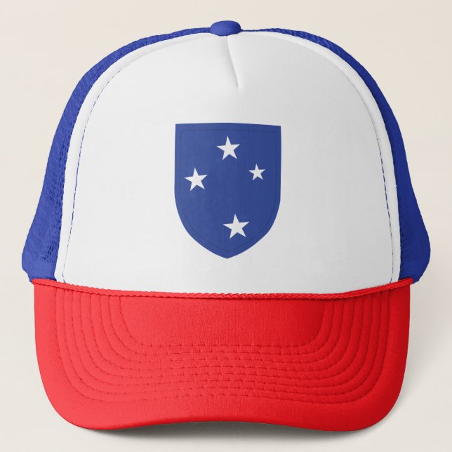 Gorra De Camionero SSI - División de Infantería 23d (Anverso)