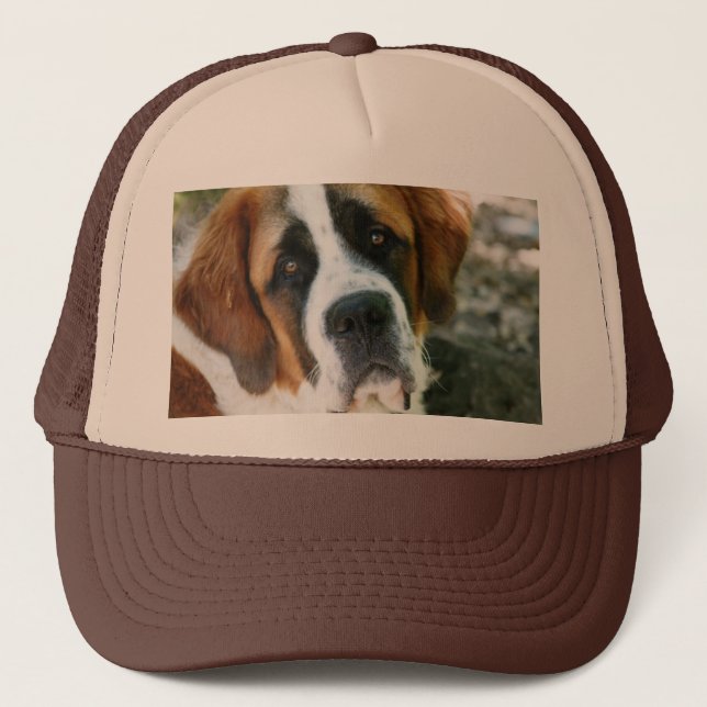 Gorra De Camionero St Bernard (Anverso)