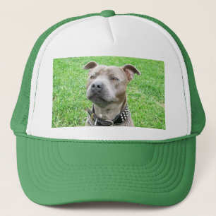 Gorra De Camionero Staffordshire Bull Terrier Sitting,