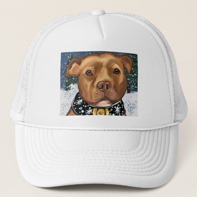 GORRA DE CAMIONERO STAFFORDSHIRE ESTADOUNIDENSE (Anverso)
