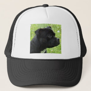 Gorra De Camionero staffy.png