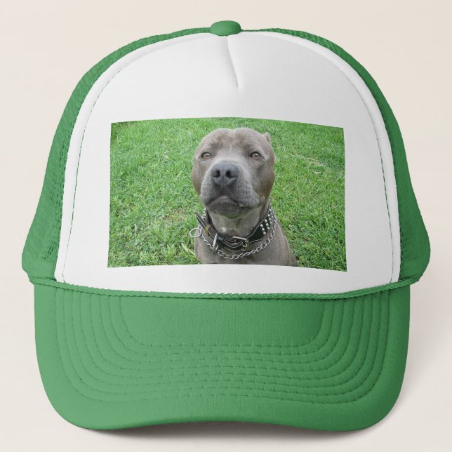 Gorra De Camionero Staffy Tiene La Cara De Drool Encendida, (Anverso)