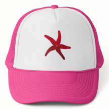 Starfish Tropical Sea