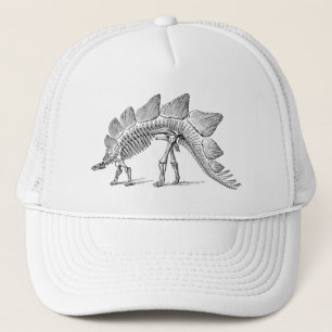 Gorra De Camionero Stegosaurus Dinosaur Skeleton Fossil