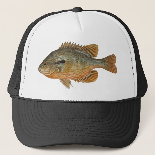 Gorra De Camionero Sunfish de Redbreast - auritus del Lepomis (Anverso)