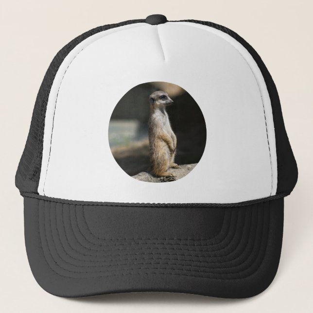 Gorra De Camionero Suricata (Anverso)