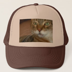 Gorra De Camionero Tabby Cat Love