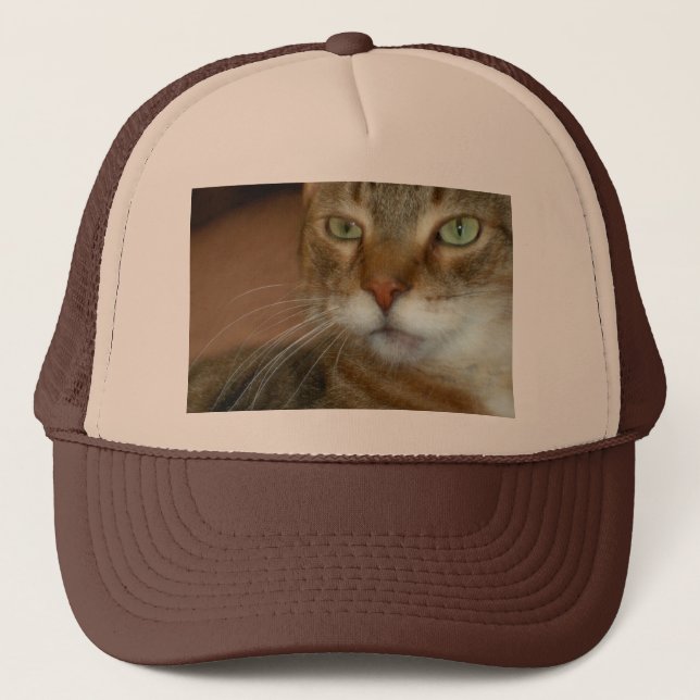 Gorra De Camionero Tabby Cat Love (Anverso)