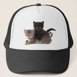 Gorra De Camionero tabby kitten black kitten