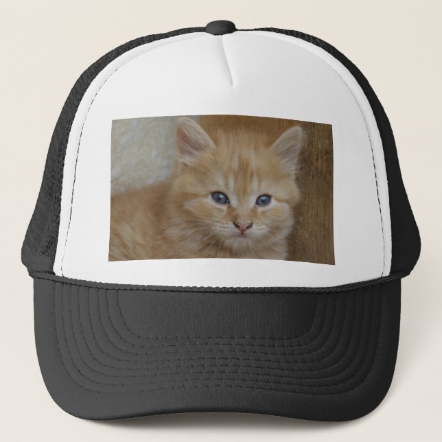 Gorra De Camionero Tabby Tomcat Kitten (Anverso)