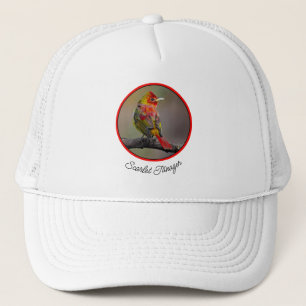 Gorra De Camionero Tángara escarlata mudando - Fotografía original