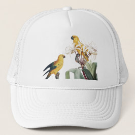 Gorra De Camionero Tapa