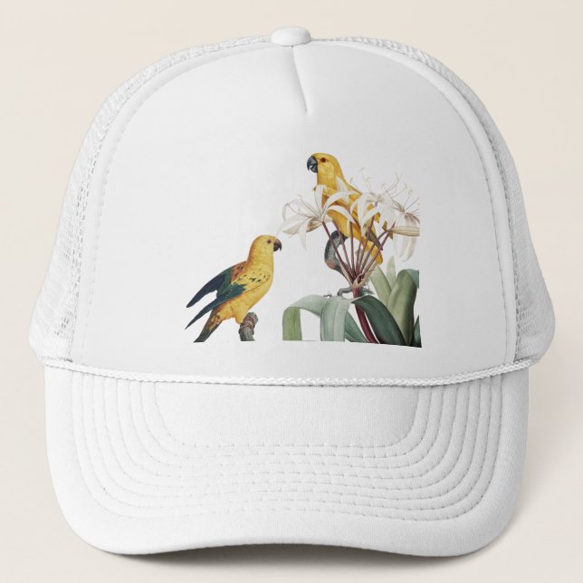 Gorra De Camionero Tapa (Anverso)