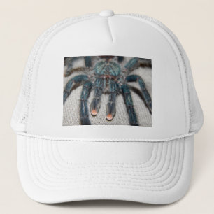 Gorra De Camionero tarántula azul