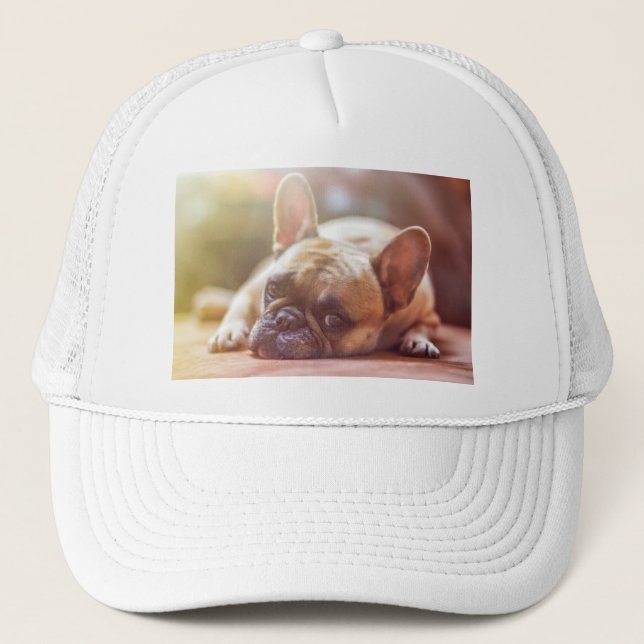 Gorra De Camionero tendido de bulldog francés (Anverso)