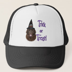 Gorra De Camionero Terranova (marrón) Trick