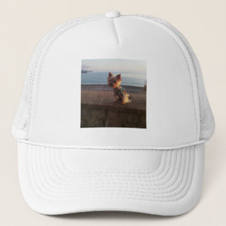 Gorra De Camionero Terrier de Yorkshire