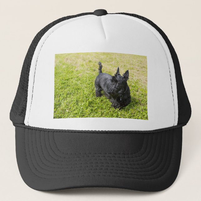 Gorra De Camionero Terrier escocés (Anverso)