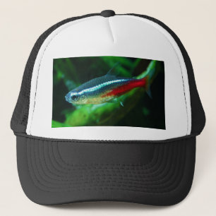 Gorra De Camionero Tetra Paracheirodon de neón Innesi de los pescado