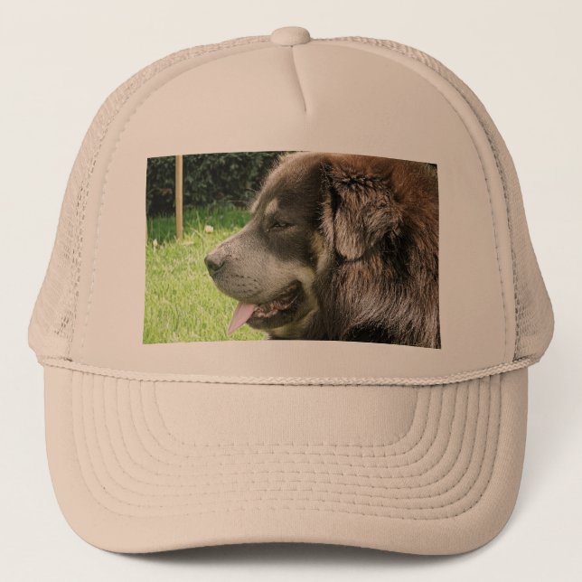 Gorra De Camionero tibetano mastiff.png (Anverso)