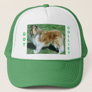 GORRA DE CAMIONERO ¿TIENES, COLLIE?