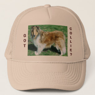 GORRA DE CAMIONERO ¿TIENES, COLLIE?