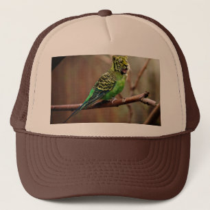 Gorra De Camionero Tiger Parakeet