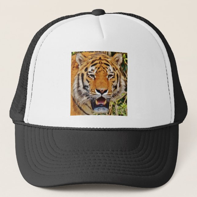 Gorra De Camionero Tigre (Anverso)