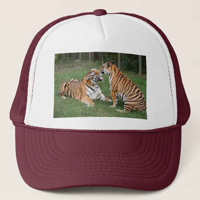Gorra De Camionero Tigre Friends-007 (Anverso)