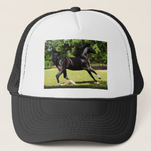 Gorra De Camionero Tolerancia y belleza